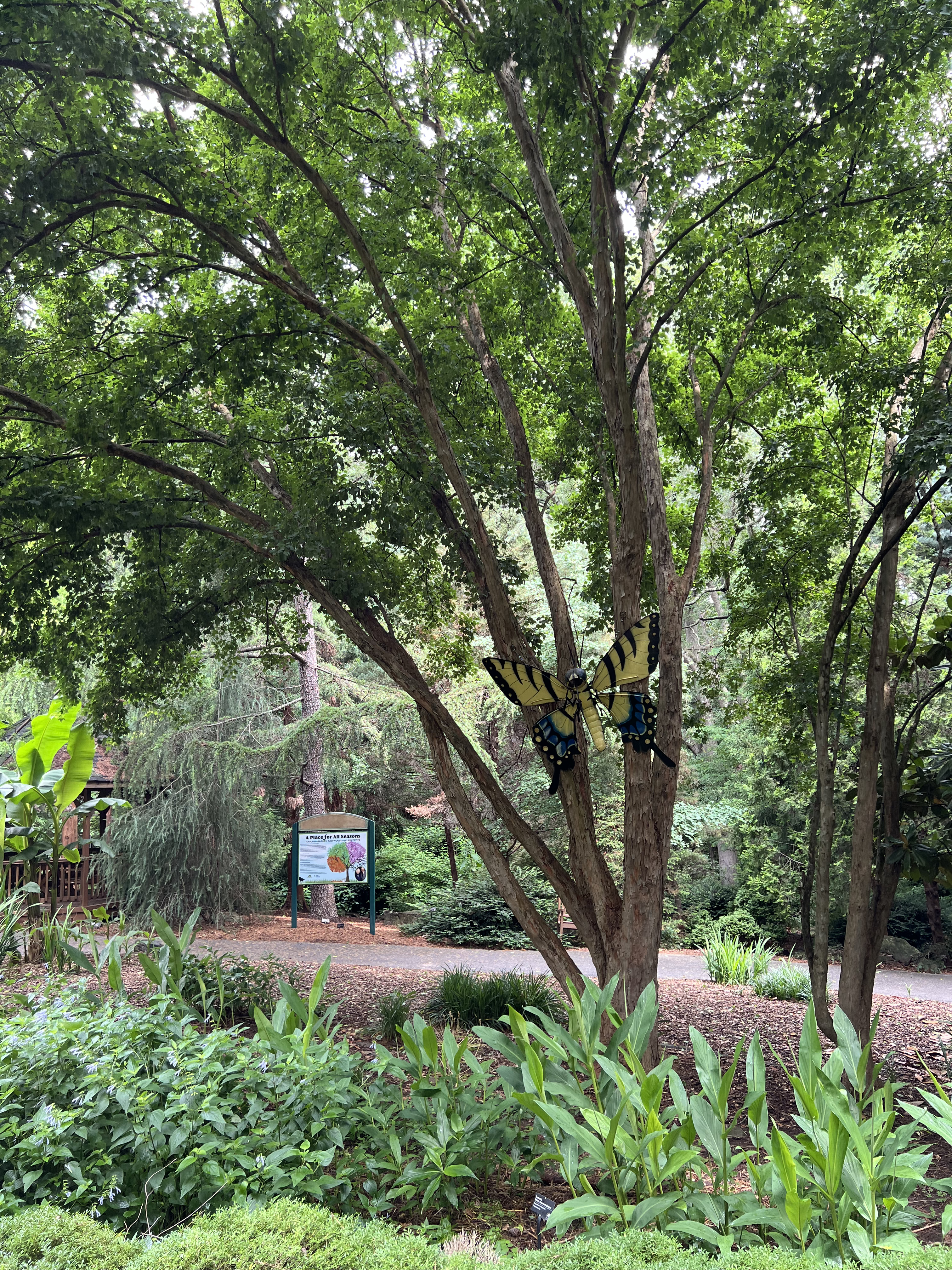 ./2024/07 - Gaffney/IMG_1497.jpg